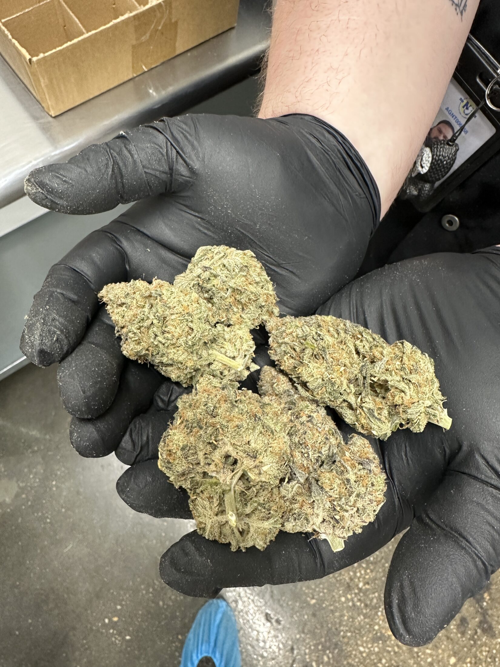 High Grass Farms