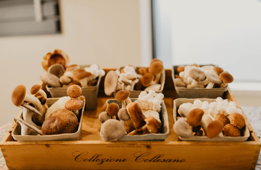 Wildspawn Mushrooms