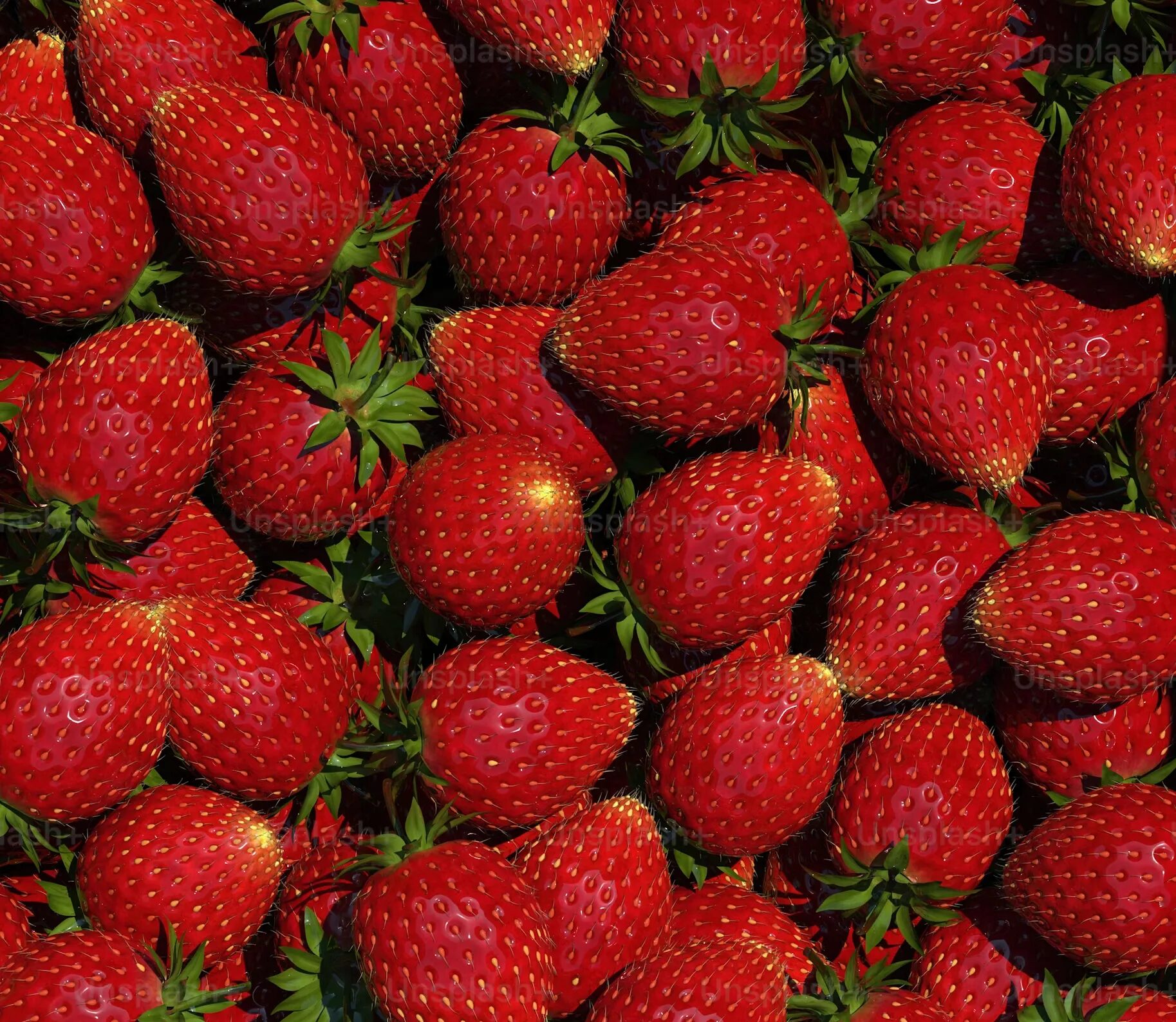 Things To Do in Central NJ in June