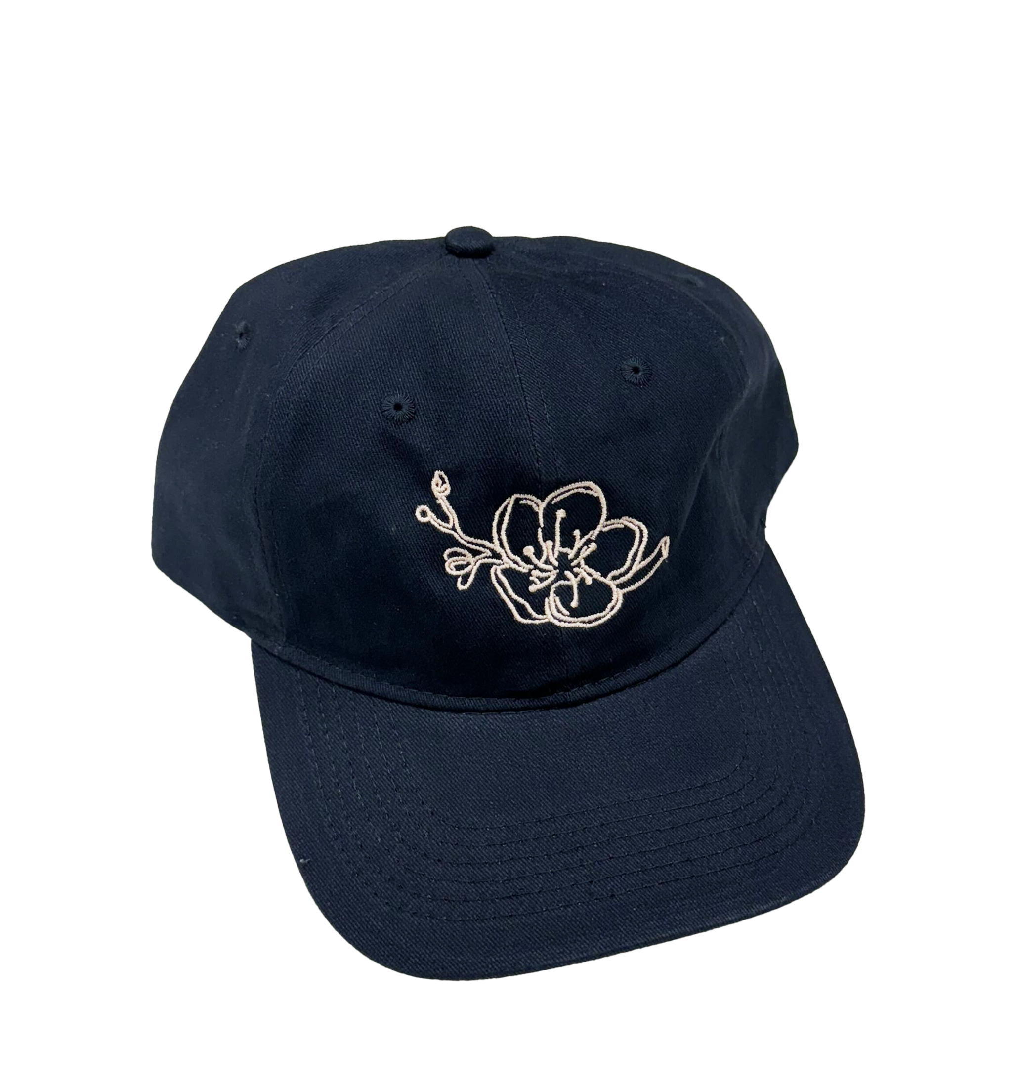 PB dad hat