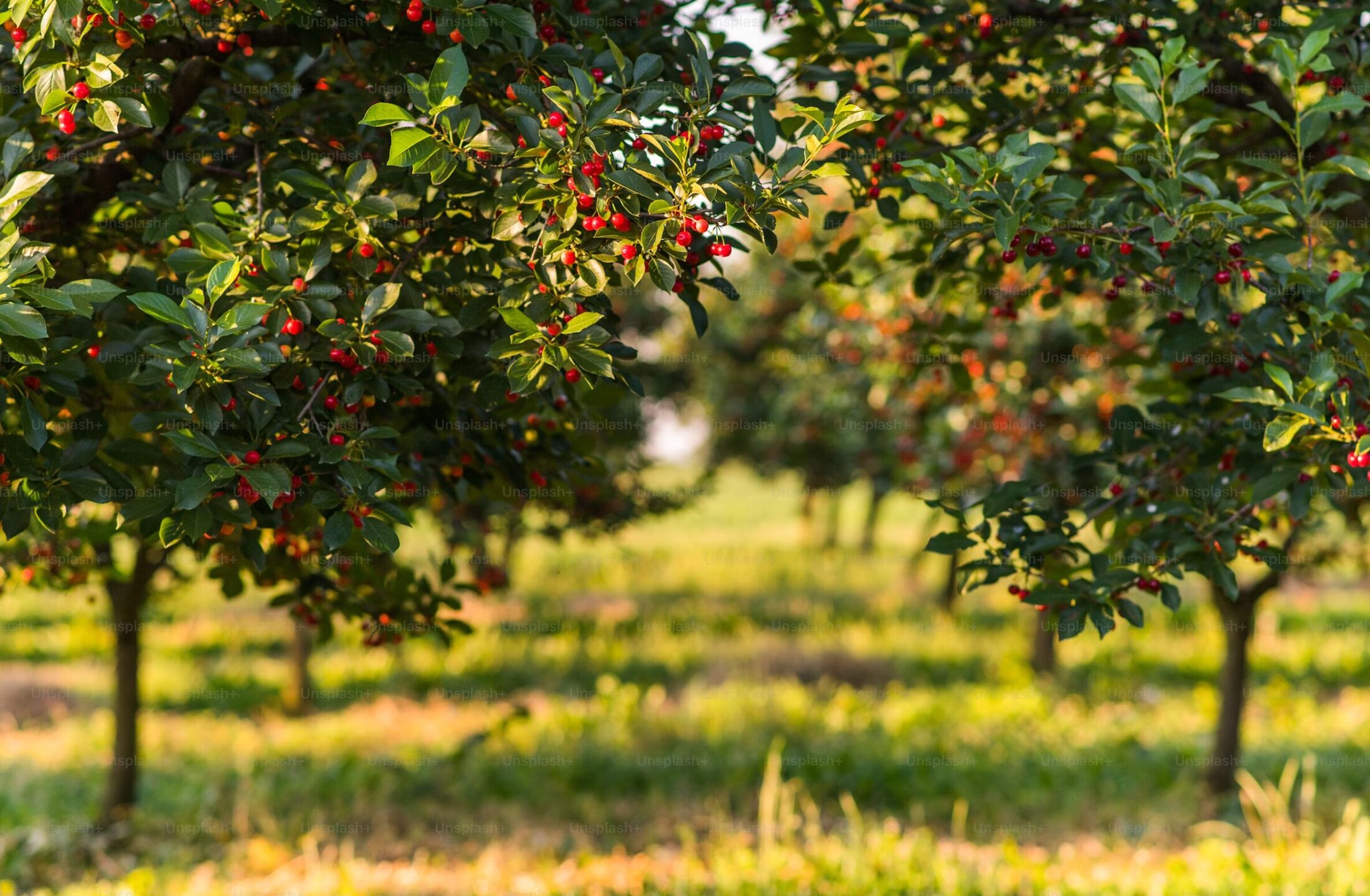 Things To Do in Central NJ in September