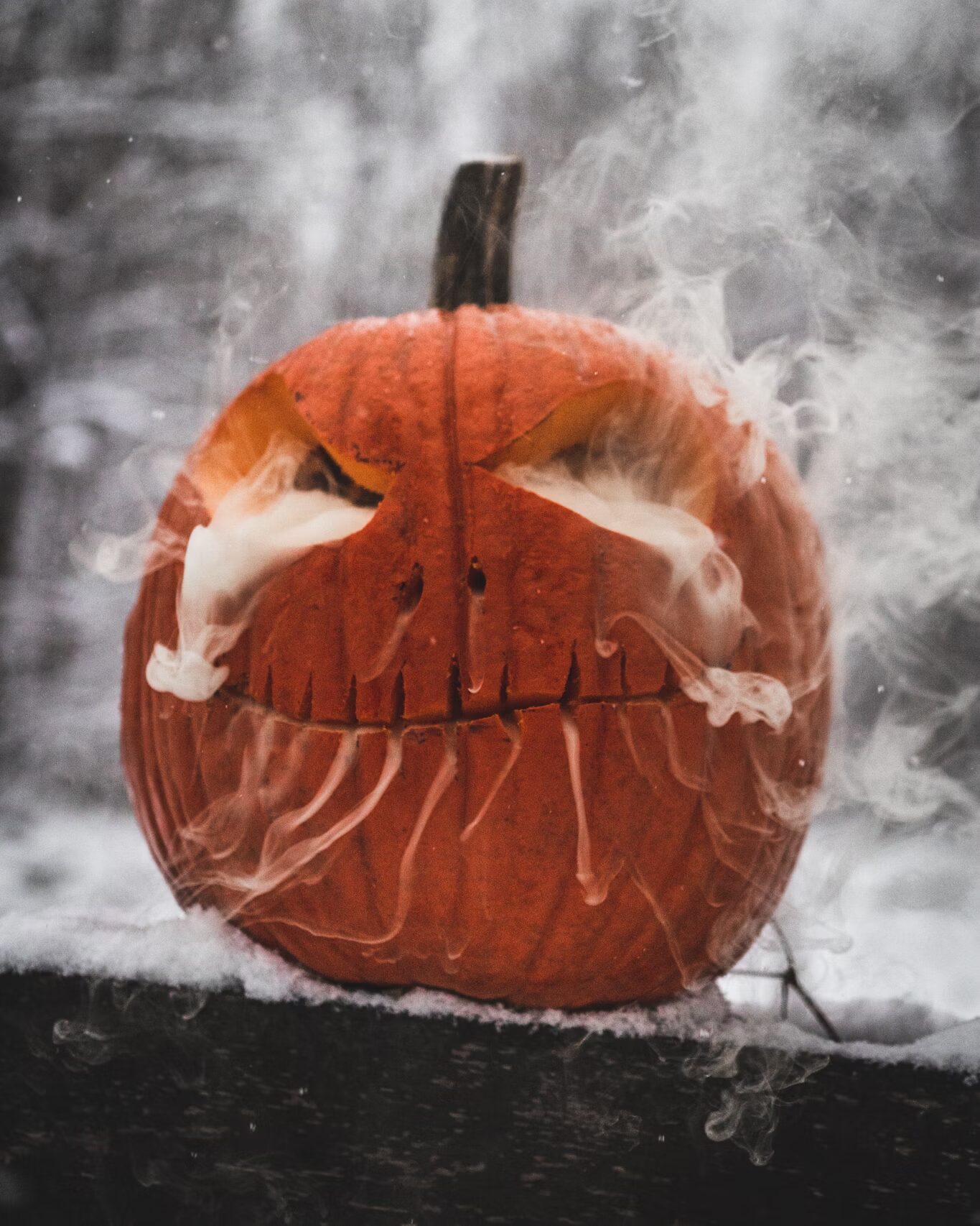 31 Things To Do in Central NJ in October