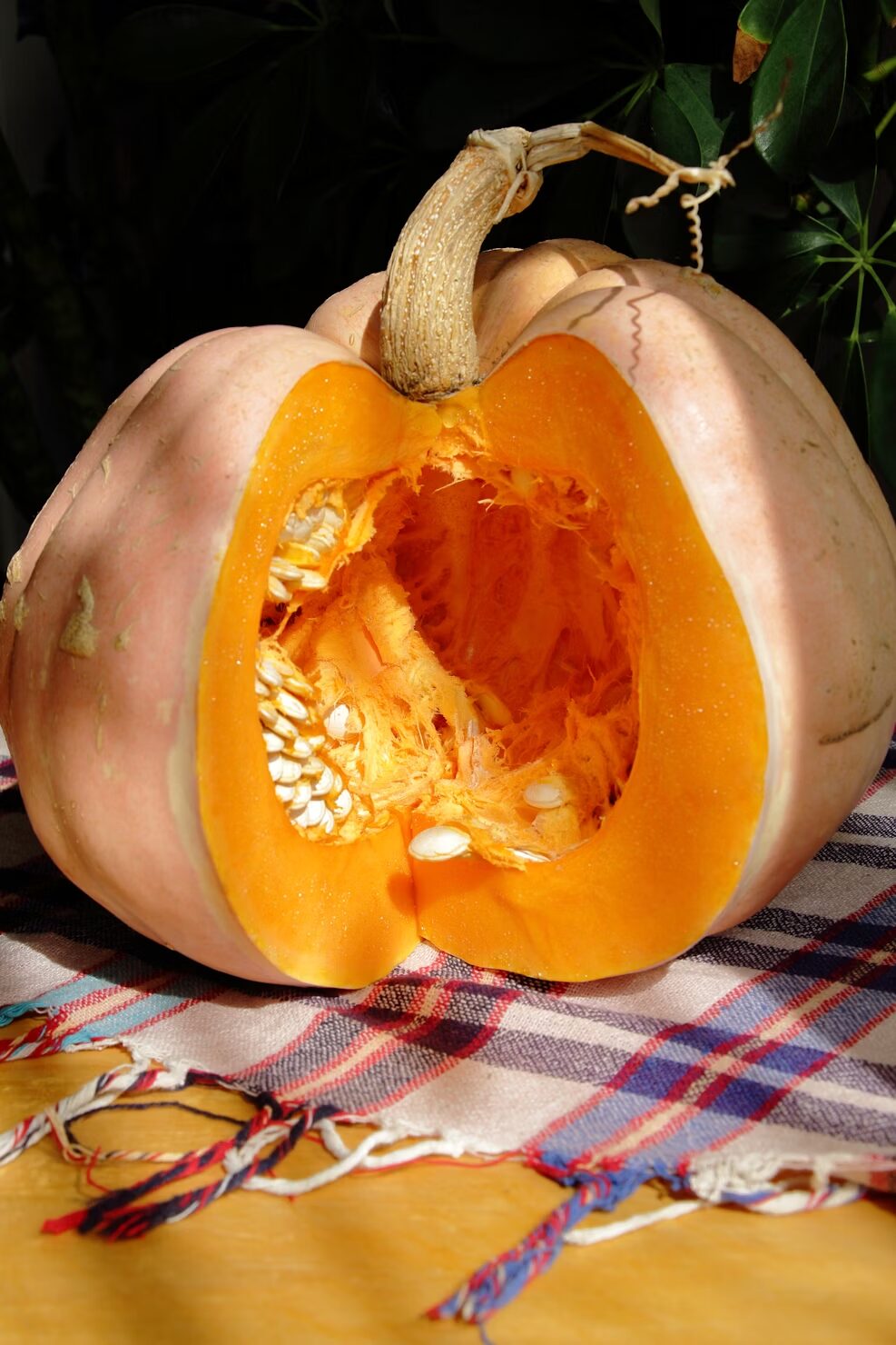 31 Things To Do in Central NJ in October
