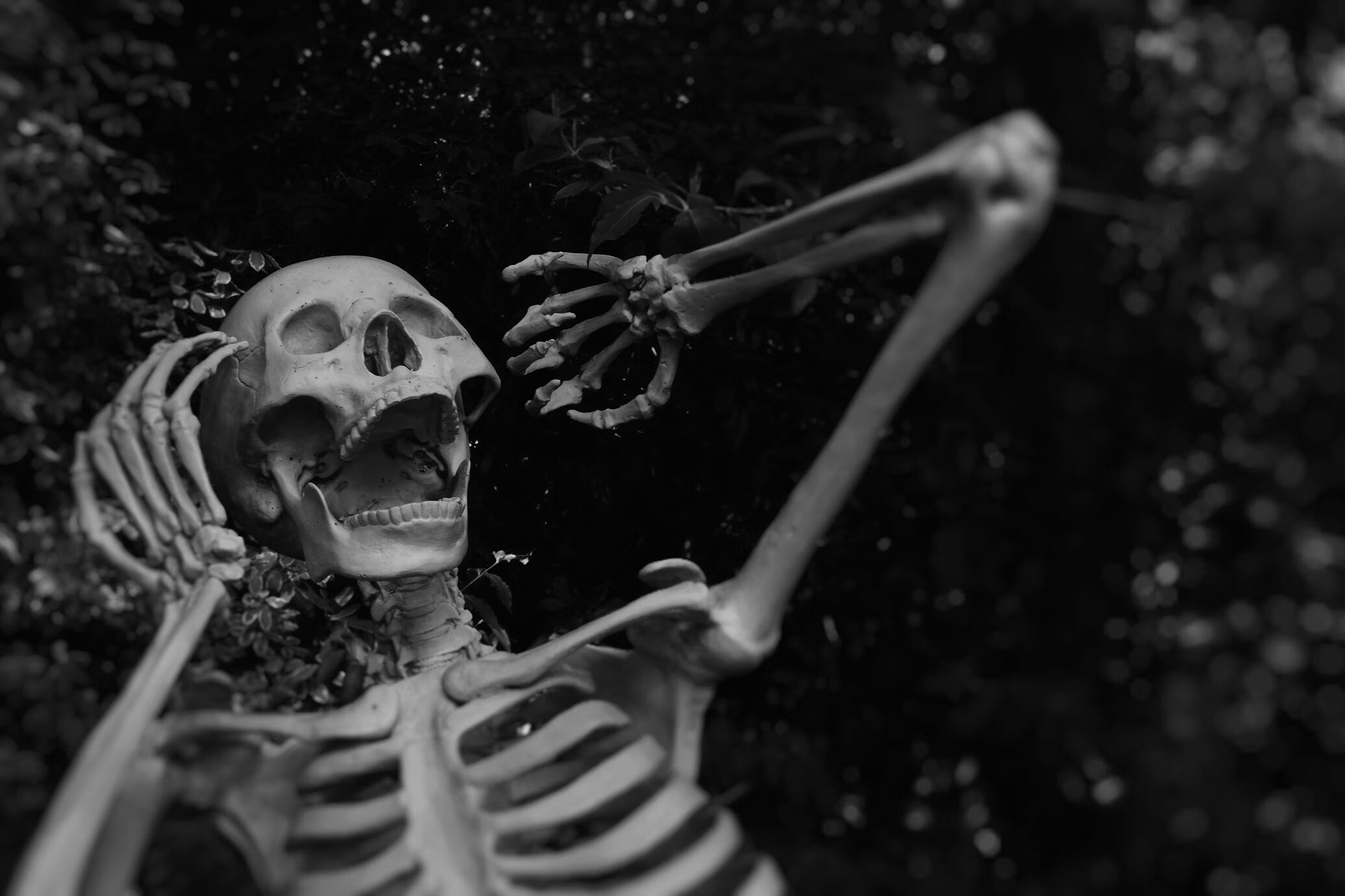 31 Things To Do in Central NJ in October