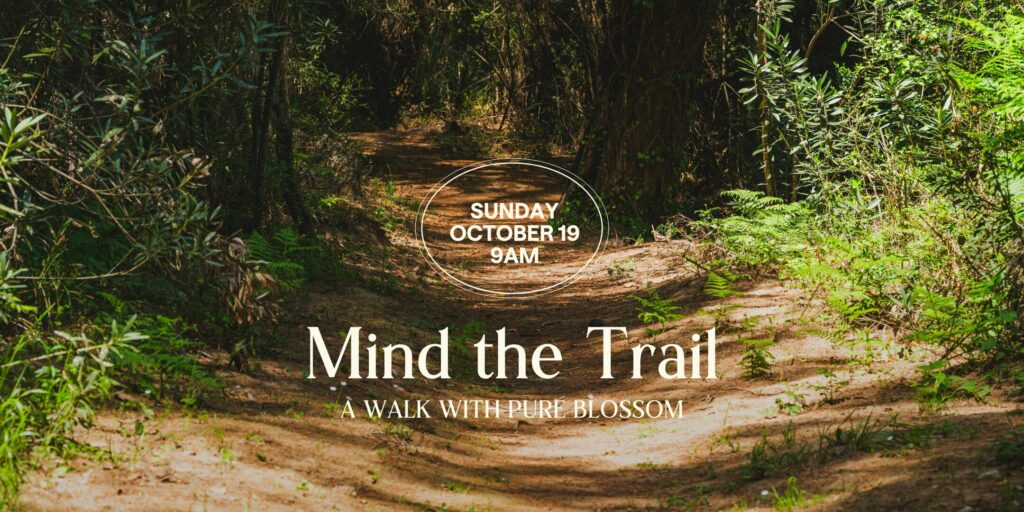Guided Mushroom Hike