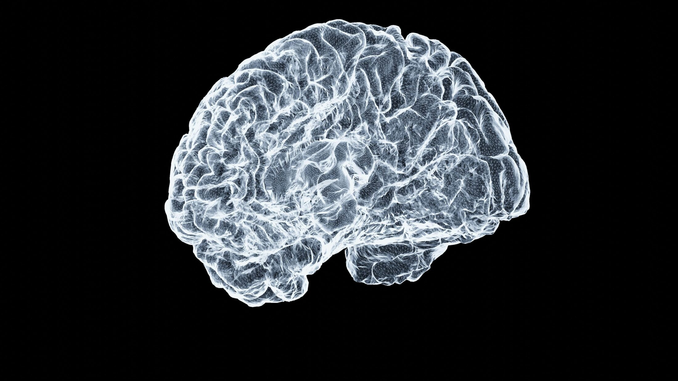 Brain graphic