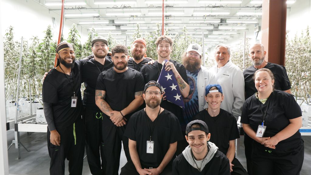 Pantheon Team